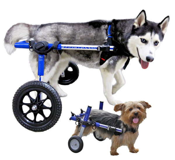 Rollstuhl Für Hunde Hinterbeine