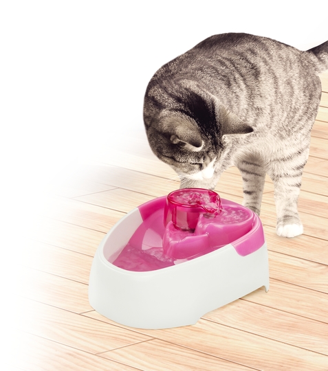 afp pet water fountain