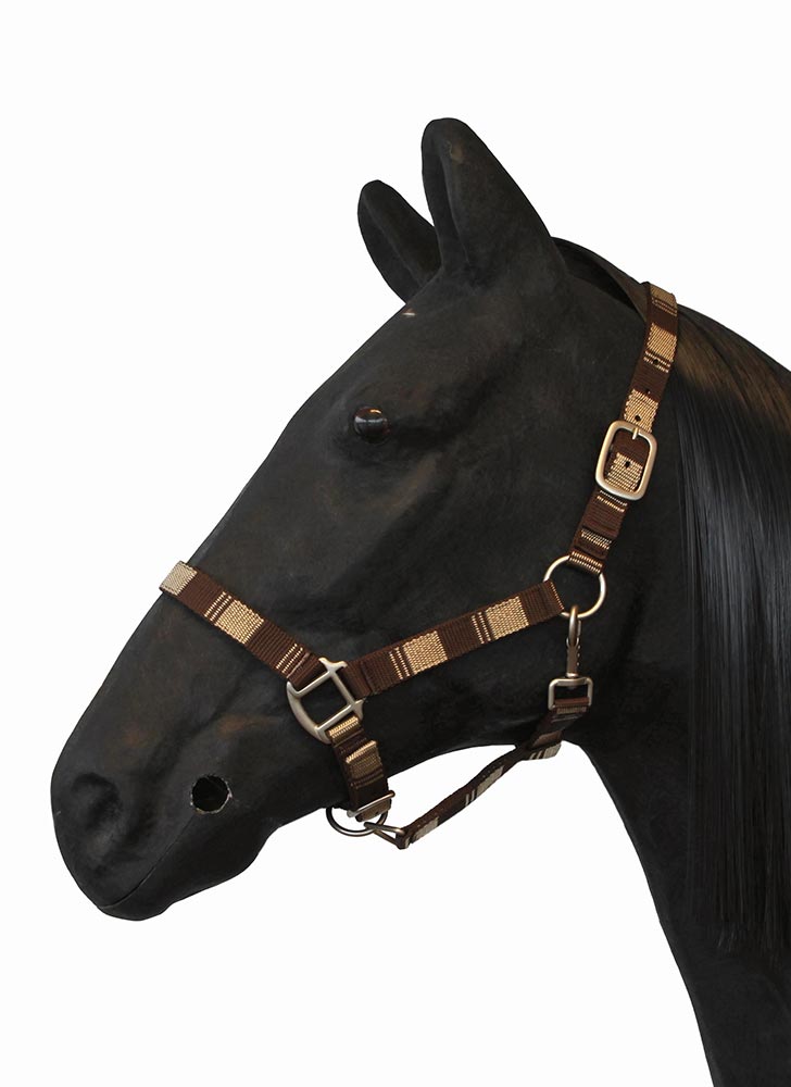 Horse halters & ropes! Horse halters & ropes!