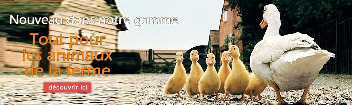 Animaux de la ferme