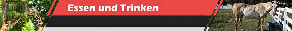 Essen und Trinken für Pferde und Vieh Essen und Trinken für Pferde und Vieh
