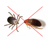Produits pour chiens contre les puces, compléments pour chiens contre parasites Produits pour chiens contre les puces, compléments pour chiens contre parasites