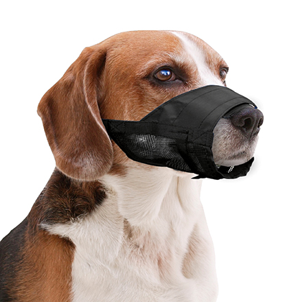 nylon muzzle