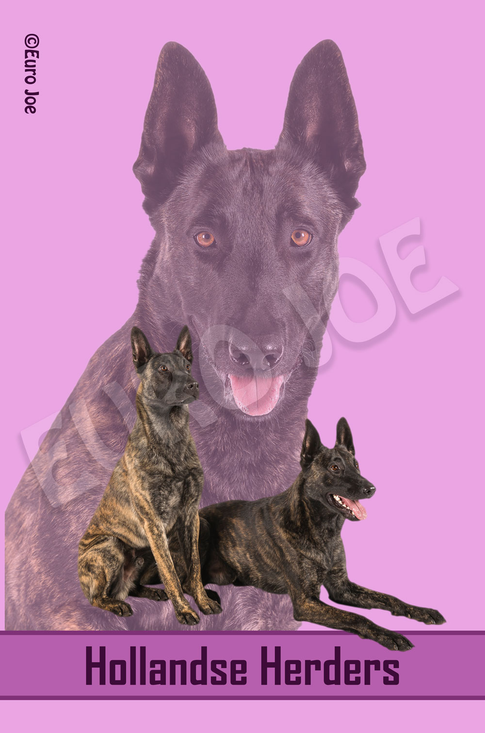 Fleece Blanket German Shepherd
