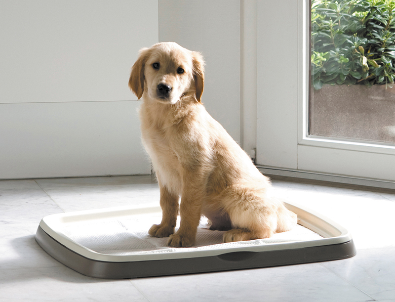 puppy trainer pads 60 x 45