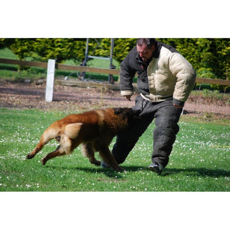 Bite suit - attack suits - K9 dog sport suit - Dog training