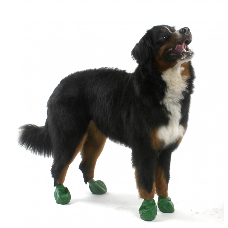 pawz rubber dog boots