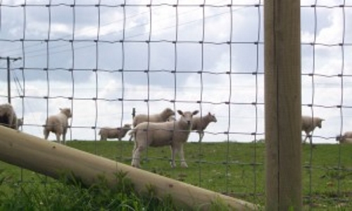 agricultural fencing