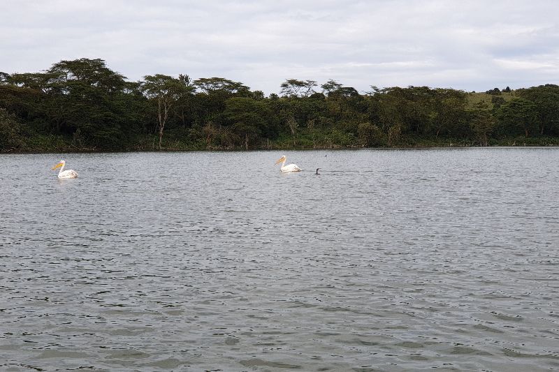 Kenia10
