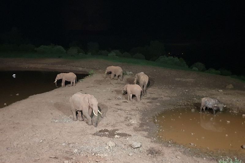 Kenia8