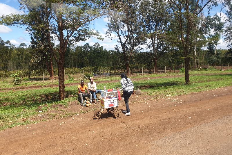 Kenia6