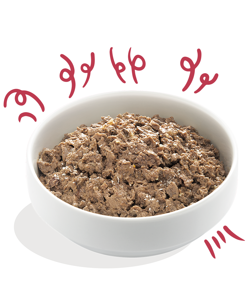 Bœuf bio à la noix de coco et aux graines de chia bio