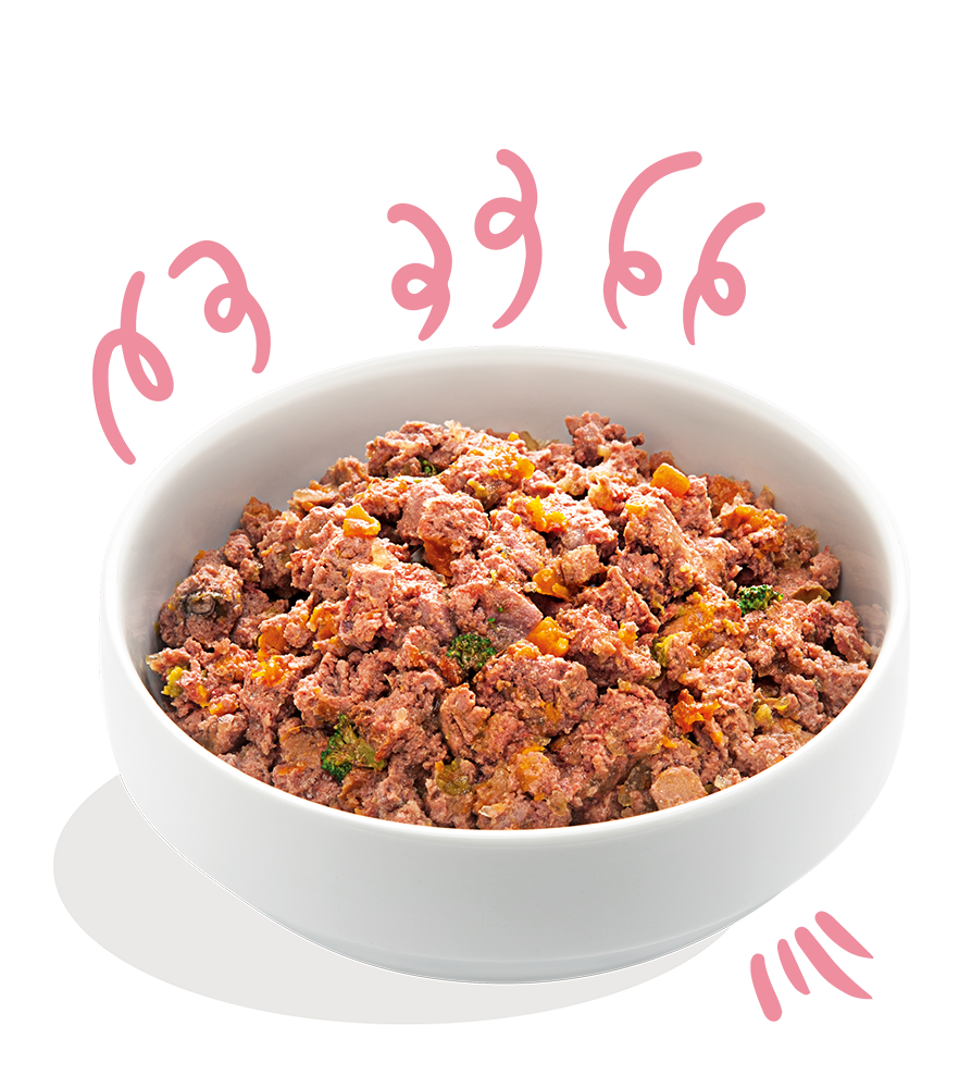 PUPPY - Eend & kip met banaan, mango & erwtjes 400gr