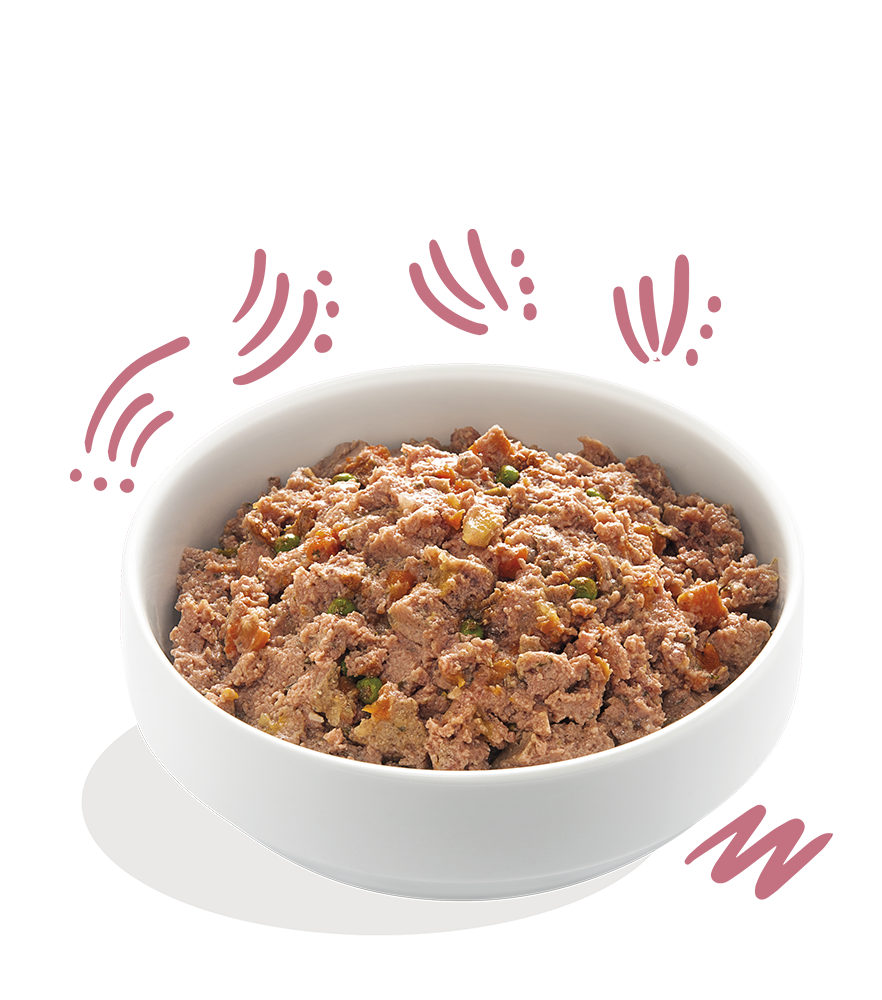 PUPPY - Eend & kip met broccoli, wortel & pompoen  150gr
