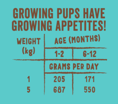PUPPY - Eend & kip met broccoli, wortel & pompoen  150gr