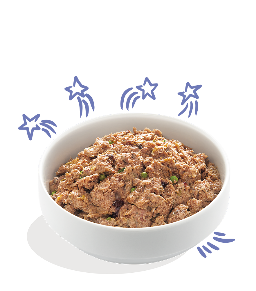 Rund & eend met zoete aardappel, broccoli & wortel 150gr