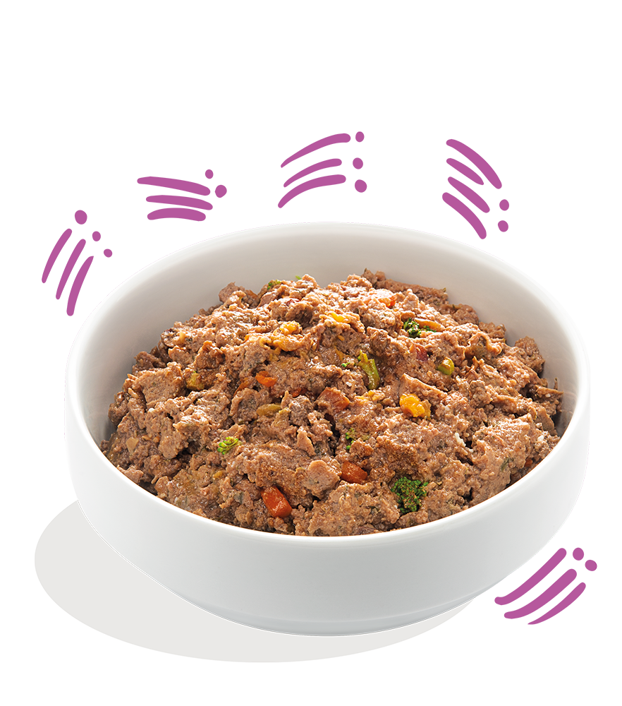 Gibier & Canard aux canneberges, betteraves et patates douces
